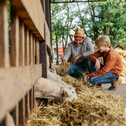 Kurs 5 Werte & Verantwortung